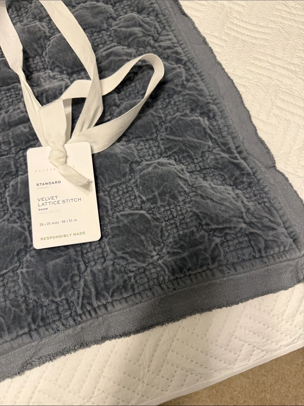 Pottery Barn velvet sham